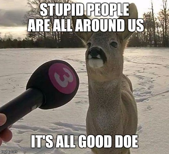 STUPID PEOPLE ARE ALL AROUND US; IT'S ALL GOOD DOE | made w/ Imgflip meme maker