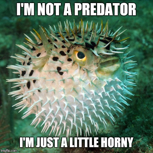 I'M NOT A PREDATOR; I'M JUST A LITTLE HORNY | image tagged in memes,funny,toilet humor,wtf,unpopular opinion puffin | made w/ Imgflip meme maker