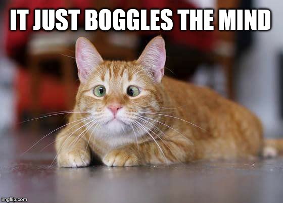 It Boggles the Mind | IT JUST BOGGLES THE MIND | image tagged in boggles the mind | made w/ Imgflip meme maker