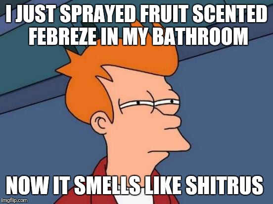 The Face You Make When Scents And Odors Merge Instead Of Eliminate | I JUST SPRAYED FRUIT SCENTED FEBREZE IN MY BATHROOM; NOW IT SMELLS LIKE SHITRUS | image tagged in memes,futurama fry,funny | made w/ Imgflip meme maker
