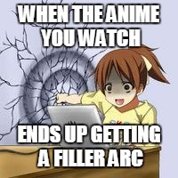 Anime wall punch | WHEN THE ANIME YOU WATCH; ENDS UP GETTING A FILLER ARC | image tagged in anime wall punch | made w/ Imgflip meme maker