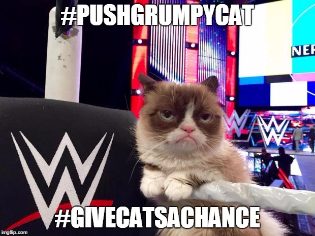 wwwe grumpy cat | #PUSHGRUMPYCAT; #GIVECATSACHANCE | image tagged in wwwe grumpy cat | made w/ Imgflip meme maker