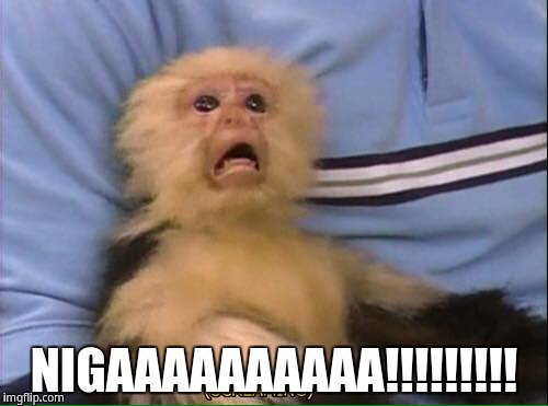 NIGAAAAAAAAAA!!!!! | NIGAAAAAAAAAA!!!!!!!!! | image tagged in screaming monkey | made w/ Imgflip meme maker