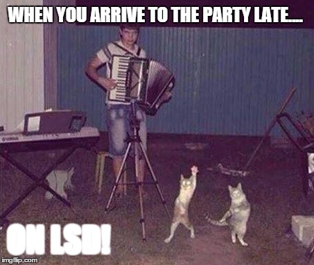 LSD Party

 |  WHEN YOU ARRIVE TO THE PARTY LATE.... ON LSD! | image tagged in lsd,party,later,latest,late | made w/ Imgflip meme maker