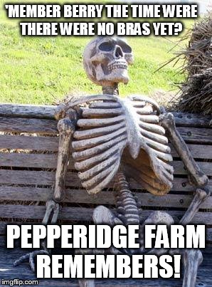 Waiting Skeleton Meme | 'MEMBER BERRY THE TIME WERE THERE WERE NO BRAS YET? PEPPERIDGE FARM REMEMBERS! | image tagged in memes,waiting skeleton | made w/ Imgflip meme maker