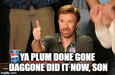 Chuck Norris Approves Meme | YA PLUM DONE GONE DAGGONE DID IT NOW, SON | image tagged in memes,chuck norris approves,chuck norris | made w/ Imgflip meme maker