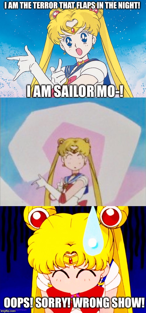 Sailor Darkwing. |  I AM THE TERROR THAT FLAPS IN THE NIGHT! I AM SAILOR MO-! OOPS! SORRY! WRONG SHOW! | image tagged in sailor moon,darkwing duck,memes | made w/ Imgflip meme maker