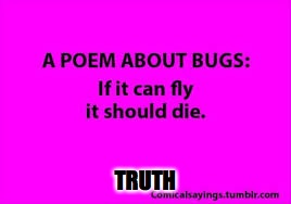 Words of wisdom friends. | TRUTH | image tagged in bugs,poem | made w/ Imgflip meme maker