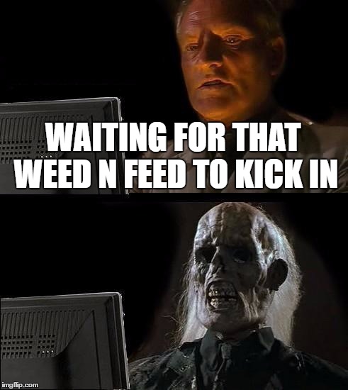 I'll Just Wait Here Meme | WAITING FOR THAT WEED N FEED TO KICK IN | image tagged in memes,ill just wait here | made w/ Imgflip meme maker