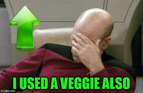 Captain Picard Facepalm Meme | I USED A VEGGIE ALSO | image tagged in memes,captain picard facepalm | made w/ Imgflip meme maker