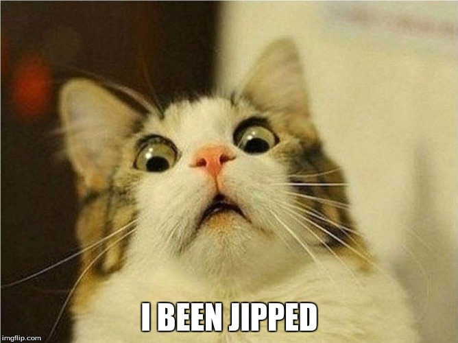 I BEEN JIPPED | image tagged in scaredy cat,cat | made w/ Imgflip meme maker