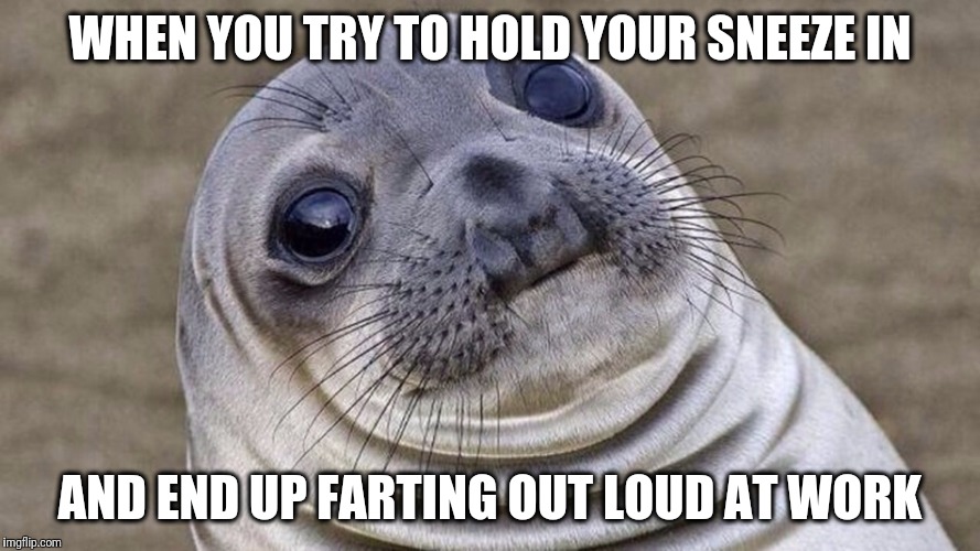 WHEN YOU TRY TO HOLD YOUR SNEEZE IN; AND END UP FARTING OUT LOUD AT WORK | image tagged in igwalktall85 | made w/ Imgflip meme maker
