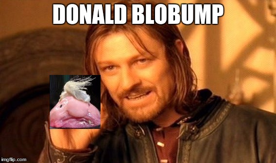 One Does Not Simply Meme | DONALD BLOBUMP | image tagged in memes,one does not simply | made w/ Imgflip meme maker