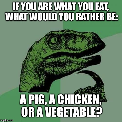 Philosoraptor Meme | IF YOU ARE WHAT YOU EAT, WHAT WOULD YOU RATHER BE:; A PIG, A CHICKEN, OR A VEGETABLE? | image tagged in memes,philosoraptor | made w/ Imgflip meme maker