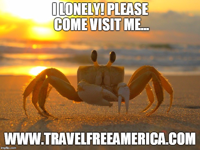 crabby & lonely | I LONELY! PLEASE COME VISIT ME... WWW.TRAVELFREEAMERICA.COM | image tagged in crabby,lonely,beach | made w/ Imgflip meme maker