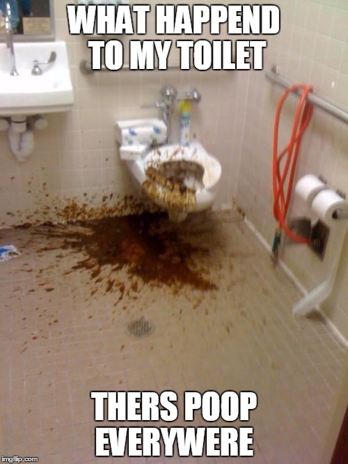Girls poop too | WHAT HAPPEND TO MY TOILET; THERS POOP EVERYWERE | image tagged in girls poop too | made w/ Imgflip meme maker