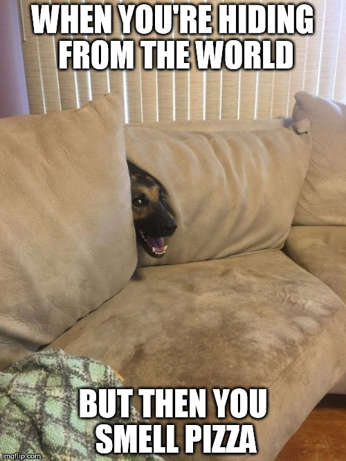 Pizza lovers be like :3 | WHEN YOU'RE HIDING FROM THE WORLD; BUT THEN YOU SMELL PIZZA | image tagged in pizza,dogs | made w/ Imgflip meme maker