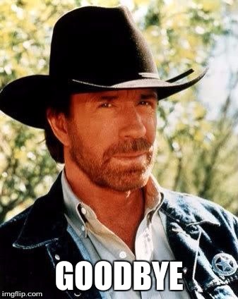 Chuck Norris | GOODBYE | image tagged in chuck norris | made w/ Imgflip meme maker