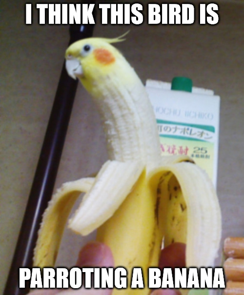 When GMOs go bad. Fruit Week, a 123Guy event | I THINK THIS BIRD IS; PARROTING A BANANA | image tagged in fruit week,banana,parrot,gmo fruits vegetables | made w/ Imgflip meme maker
