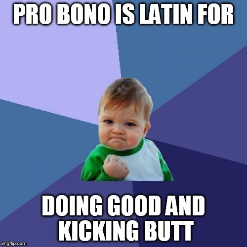 Success Kid Meme | PRO BONO IS LATIN FOR; DOING GOOD AND KICKING BUTT | image tagged in memes,success kid | made w/ Imgflip meme maker