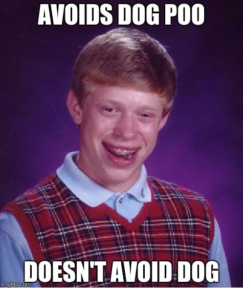 Bad Luck Brian Meme | AVOIDS DOG POO; DOESN'T AVOID DOG | image tagged in memes,bad luck brian | made w/ Imgflip meme maker