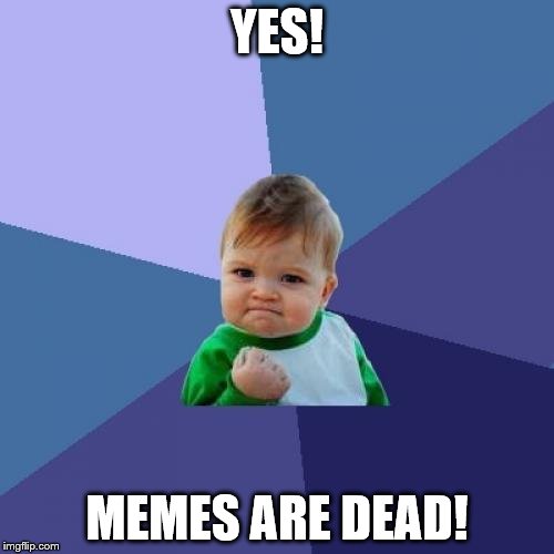 Success Kid | YES! MEMES ARE DEAD! | image tagged in memes,success kid | made w/ Imgflip meme maker