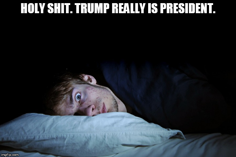 HOLY SHIT. TRUMP REALLY IS PRESIDENT. | image tagged in shit | made w/ Imgflip meme maker
