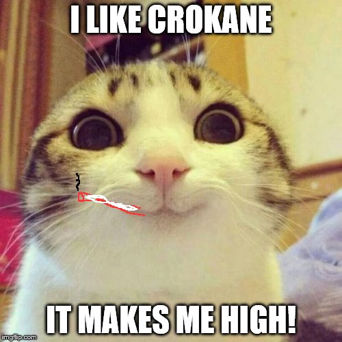 Smiling Cat Meme | I LIKE CROKANE; IT MAKES ME HIGH! | image tagged in memes,smiling cat | made w/ Imgflip meme maker