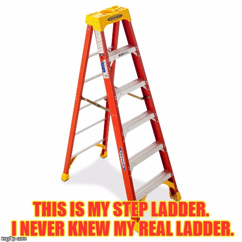 Step Ladder |  THIS IS MY STEP LADDER. I NEVER KNEW MY REAL LADDER. | image tagged in step ladder | made w/ Imgflip meme maker