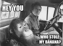 HEY YOU; WHO STOLE MY BANANA? | image tagged in monkey copilot | made w/ Imgflip meme maker