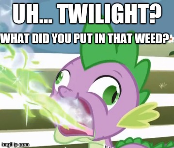 UH... TWILIGHT? WHAT DID YOU PUT IN THAT WEED? | made w/ Imgflip meme maker