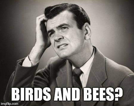 BIRDS AND BEES? | made w/ Imgflip meme maker