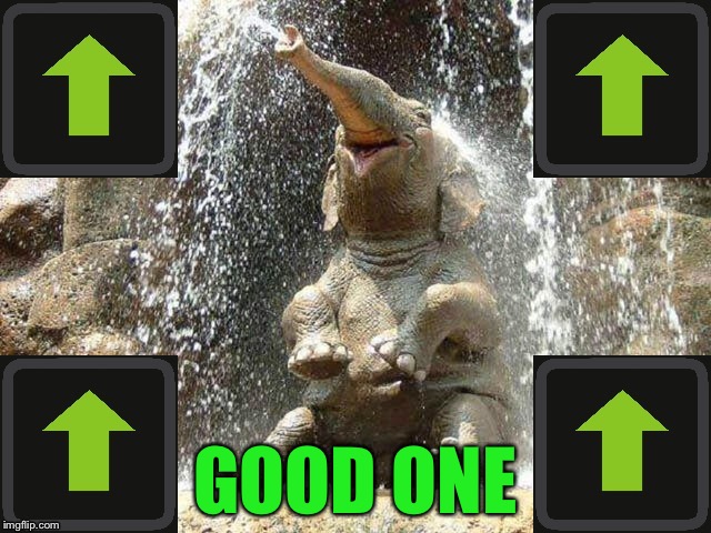 Upvote Elephant | GOOD ONE | image tagged in upvote elephant | made w/ Imgflip meme maker