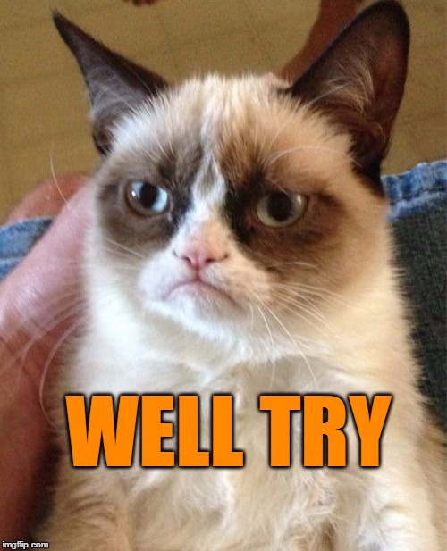 Grumpy Cat Meme | WELL TRY | image tagged in memes,grumpy cat | made w/ Imgflip meme maker