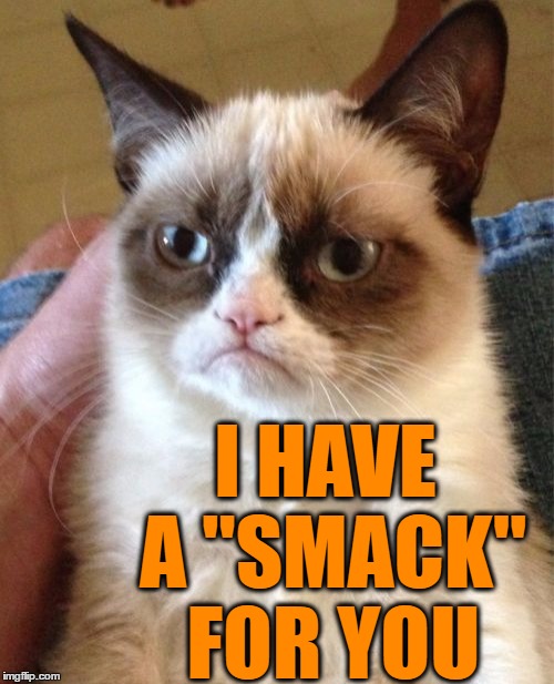 Grumpy Cat Meme | I HAVE A "SMACK" FOR YOU | image tagged in memes,grumpy cat | made w/ Imgflip meme maker
