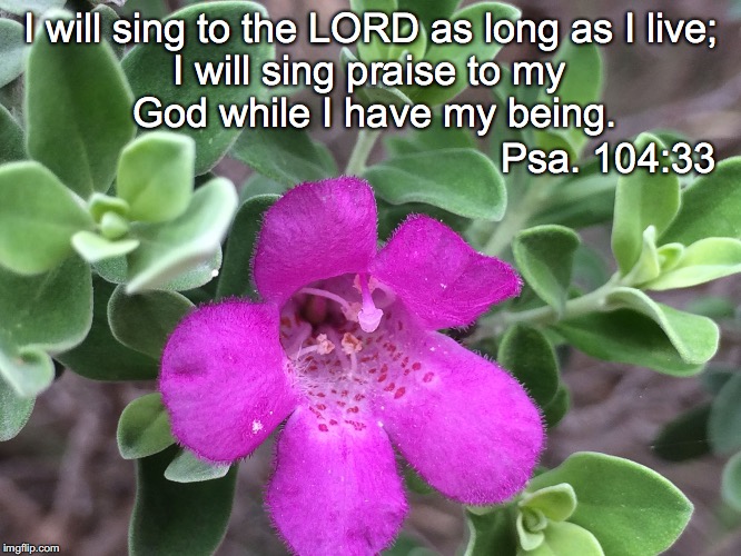 I will sing to the LORD as long as I live;; I will sing praise to my God while I have my being. Psa. 104:33 | image tagged in as long as i live | made w/ Imgflip meme maker