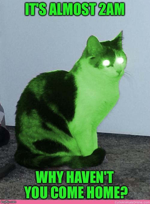 Hypno Raycat | IT'S ALMOST 2AM WHY HAVEN'T YOU COME HOME? | image tagged in hypno raycat | made w/ Imgflip meme maker