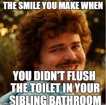 Bad Sibling | THE SMILE YOU MAKE WHEN; YOU DIDN'T FLUSH THE TOILET IN YOUR SIBLING BATHROOM | image tagged in nacho libre compromiso,funny,memes,siblings,bathroom humor | made w/ Imgflip meme maker