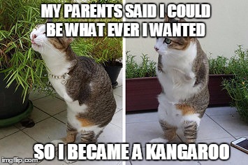 crippled  | MY PARENTS SAID I COULD BE WHAT EVER I WANTED; SO I BECAME A KANGAROO | image tagged in funny memes | made w/ Imgflip meme maker