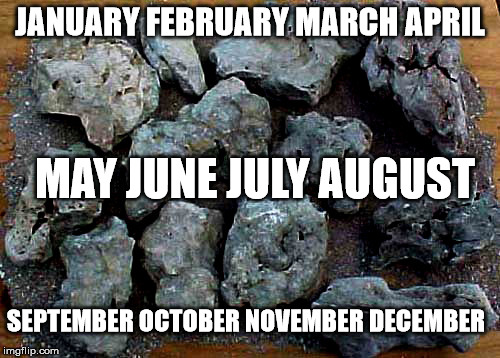 Your Birth Rock | JANUARY FEBRUARY MARCH APRIL; MAY JUNE JULY AUGUST; SEPTEMBER OCTOBER NOVEMBER DECEMBER | image tagged in sarcasm,funny,memes | made w/ Imgflip meme maker