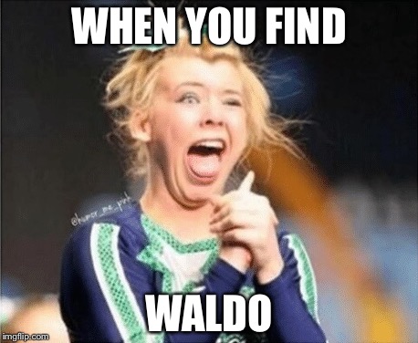WHEN YOU FIND; WALDO | image tagged in when you find | made w/ Imgflip meme maker