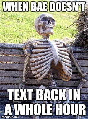 Waiting Skeleton | WHEN BAE DOESN'T; TEXT BACK IN A WHOLE HOUR | image tagged in memes,waiting skeleton | made w/ Imgflip meme maker