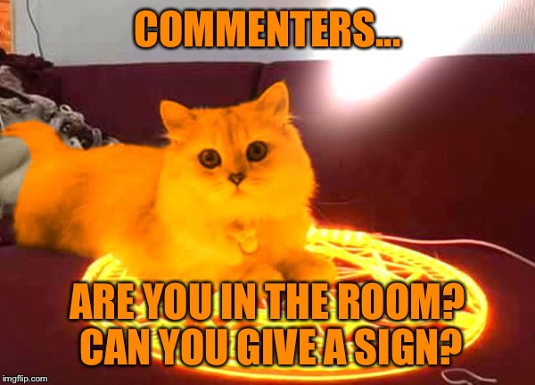 RayCat Powers | COMMENTERS... ARE YOU IN THE ROOM? CAN YOU GIVE A SIGN? | image tagged in raycat powers | made w/ Imgflip meme maker