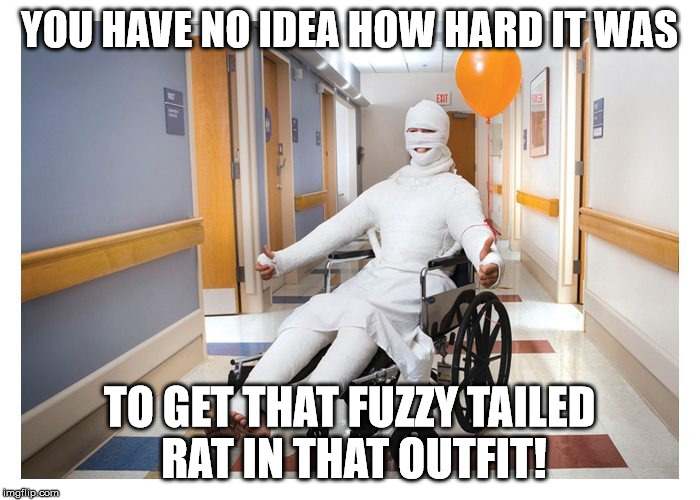 YOU HAVE NO IDEA HOW HARD IT WAS TO GET THAT FUZZY TAILED RAT IN THAT OUTFIT! | made w/ Imgflip meme maker