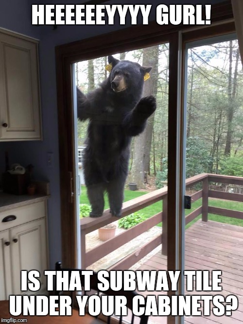 HEEEEEEYYYY GURL! IS THAT SUBWAY TILE UNDER YOUR CABINETS? | image tagged in hey gurl | made w/ Imgflip meme maker