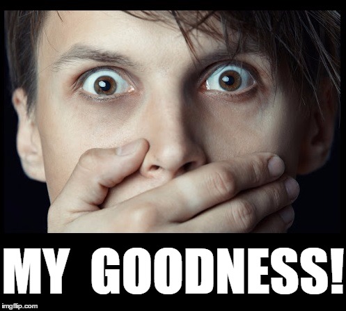 oh my | MY  GOODNESS! | image tagged in oh my | made w/ Imgflip meme maker