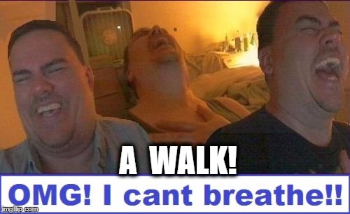 LMAO | A  WALK! | image tagged in lmao | made w/ Imgflip meme maker