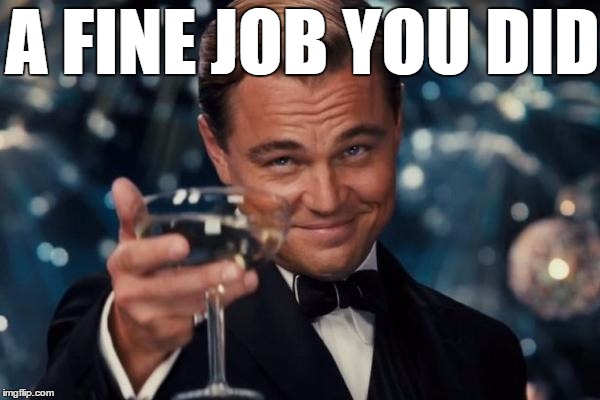 Leonardo Dicaprio Cheers Meme | A FINE JOB YOU DID | image tagged in memes,leonardo dicaprio cheers | made w/ Imgflip meme maker