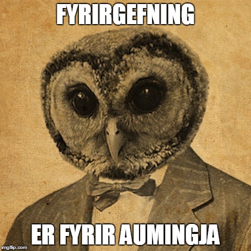 FYRIRGEFNING; ER FYRIR AUMINGJA | image tagged in ugla | made w/ Imgflip meme maker