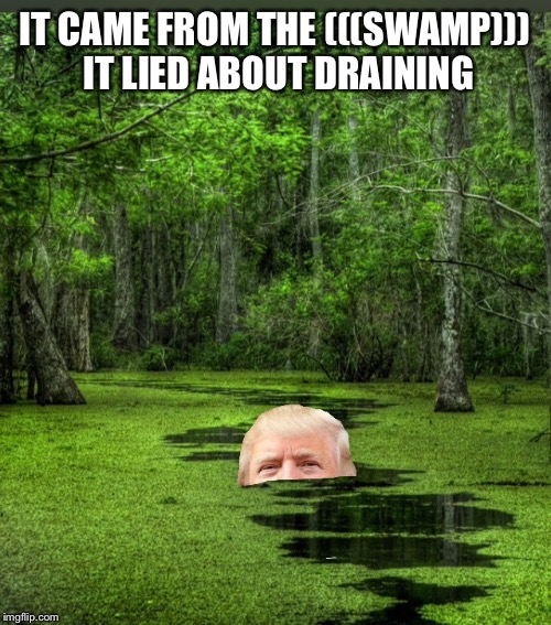 IT CAME FROM THE (((SWAMP))) IT LIED ABOUT DRAINING | made w/ Imgflip meme maker